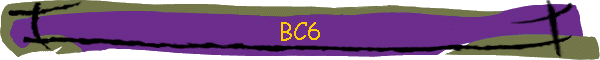 BC6